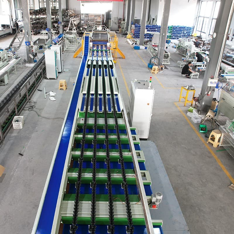 images/1676883736475pear sorting line.jpg